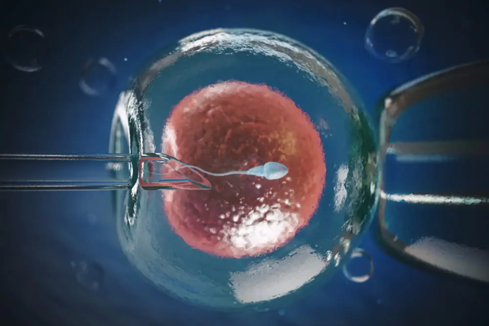 Inseminaçãoç - Dr Orcione Jr
